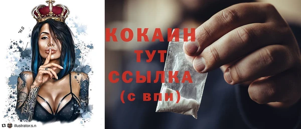 прущие грибы Медвежьегорск