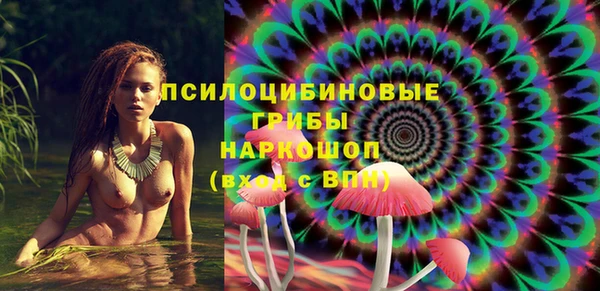 ECSTASY Медногорск