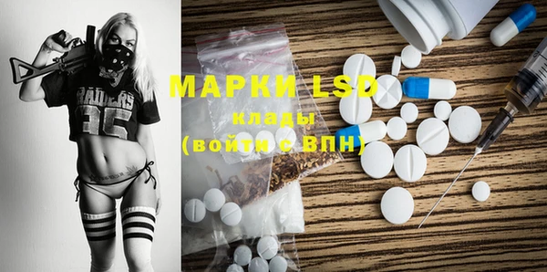 прущие грибы Медвежьегорск