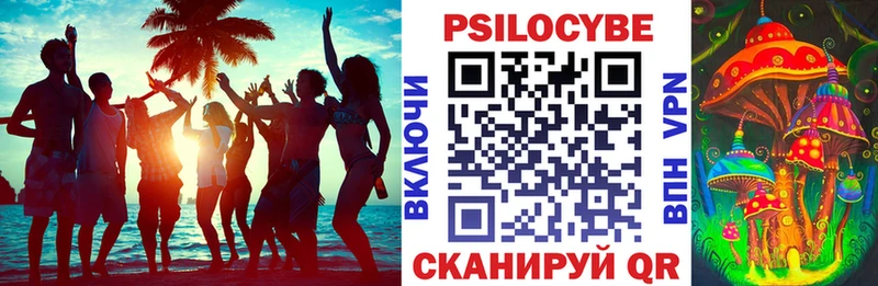 Галлюциногенные грибы Psilocybine cubensis  Купить закладки  Белоозёрский 